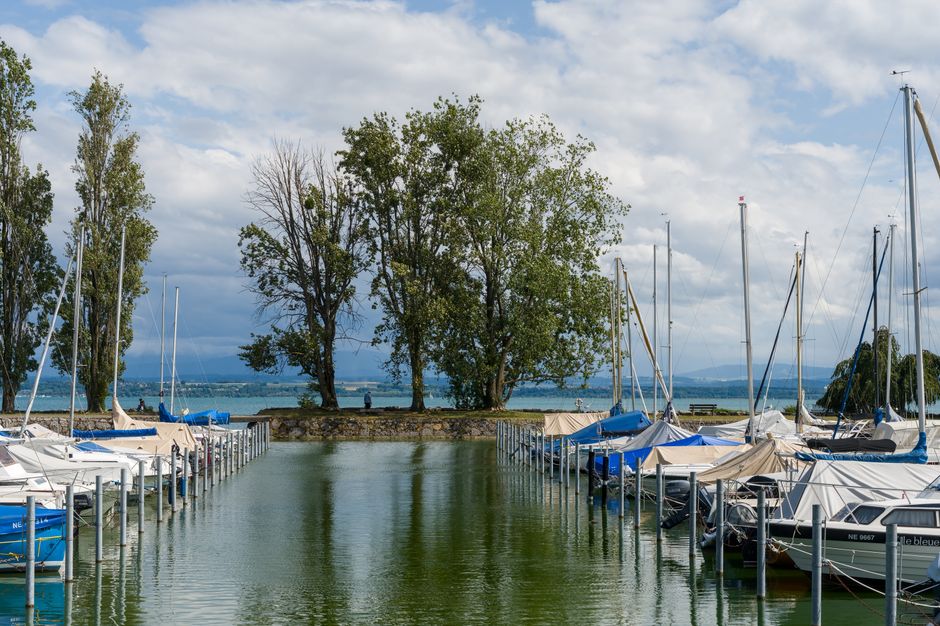 Classic boats docked at a marina